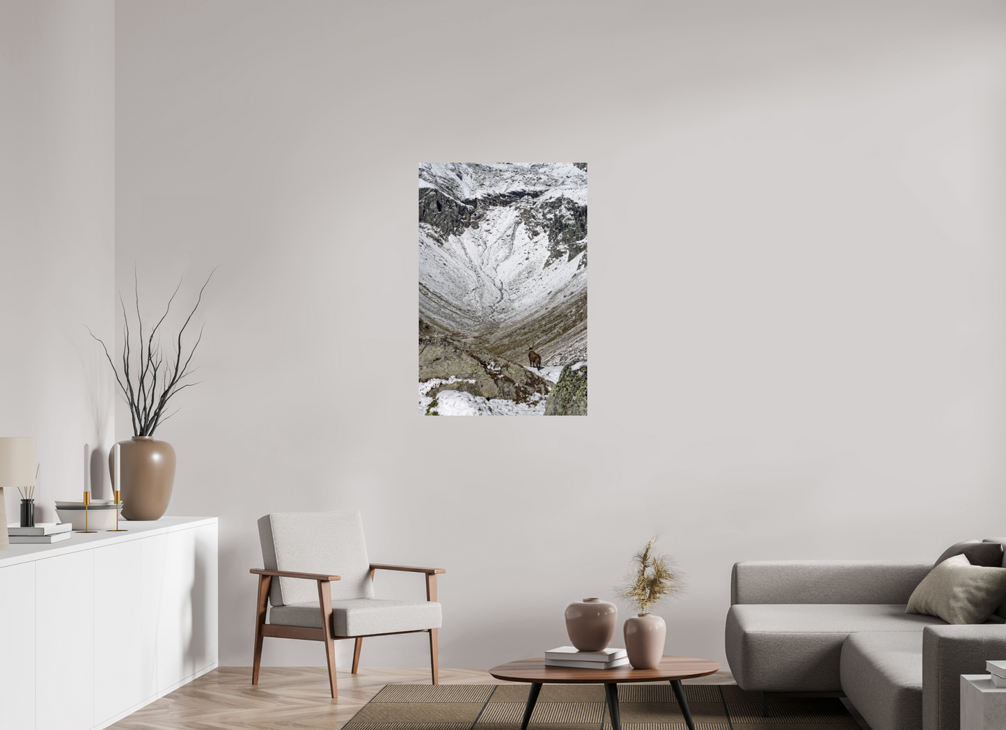 Bouquetin / Ibex