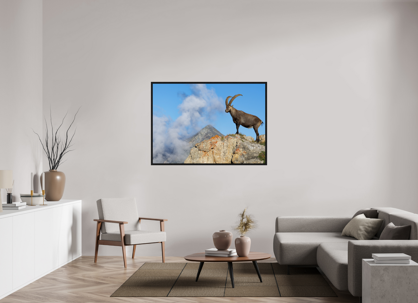 Bouquetin / Ibex