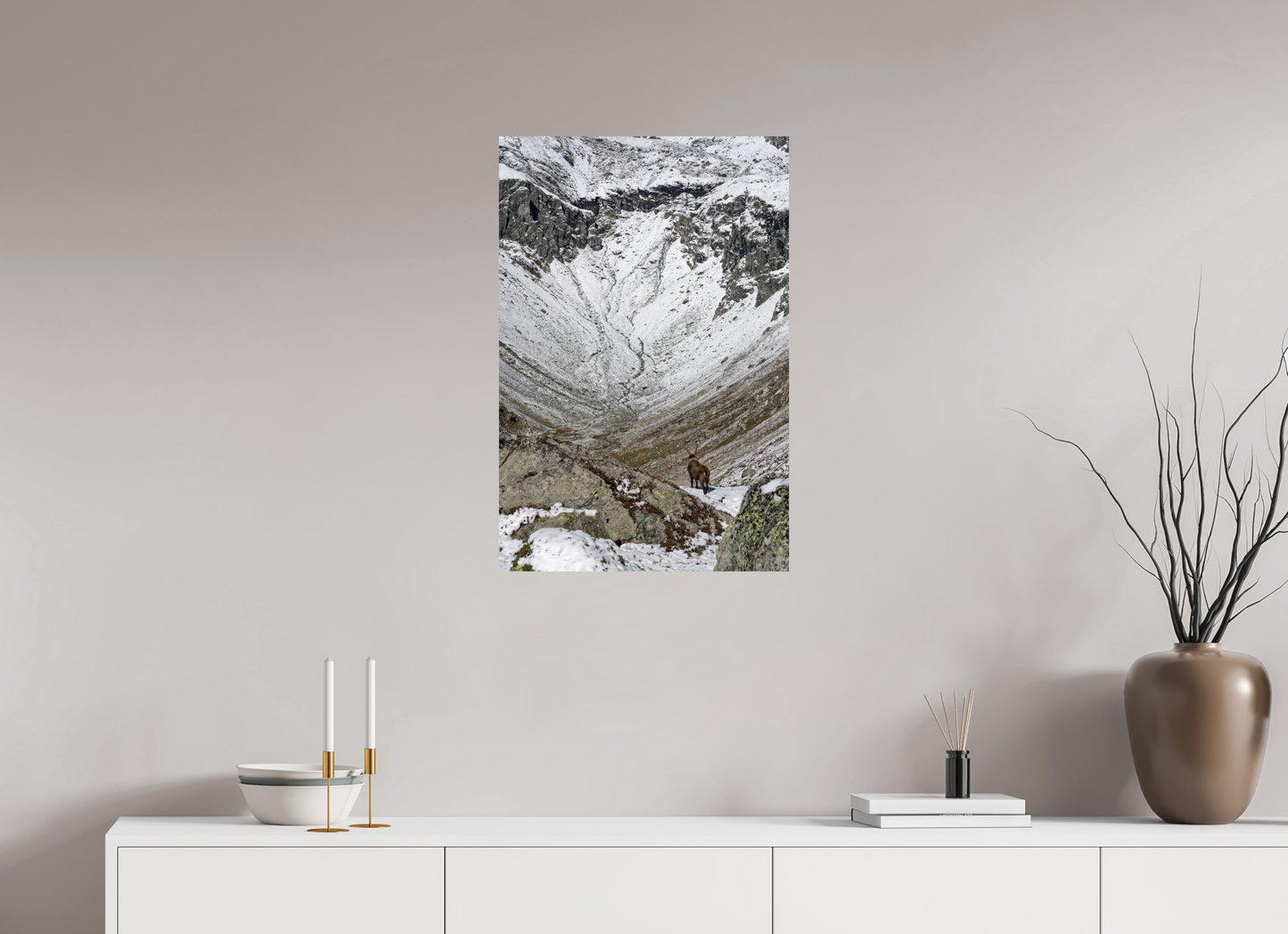 Bouquetin / Ibex
