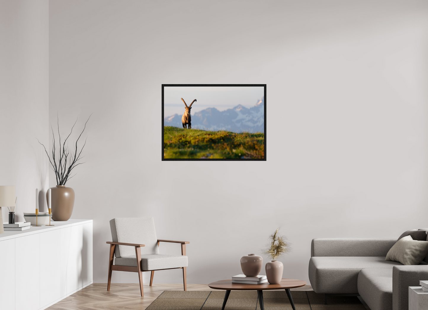 Bouquetin / Ibex
