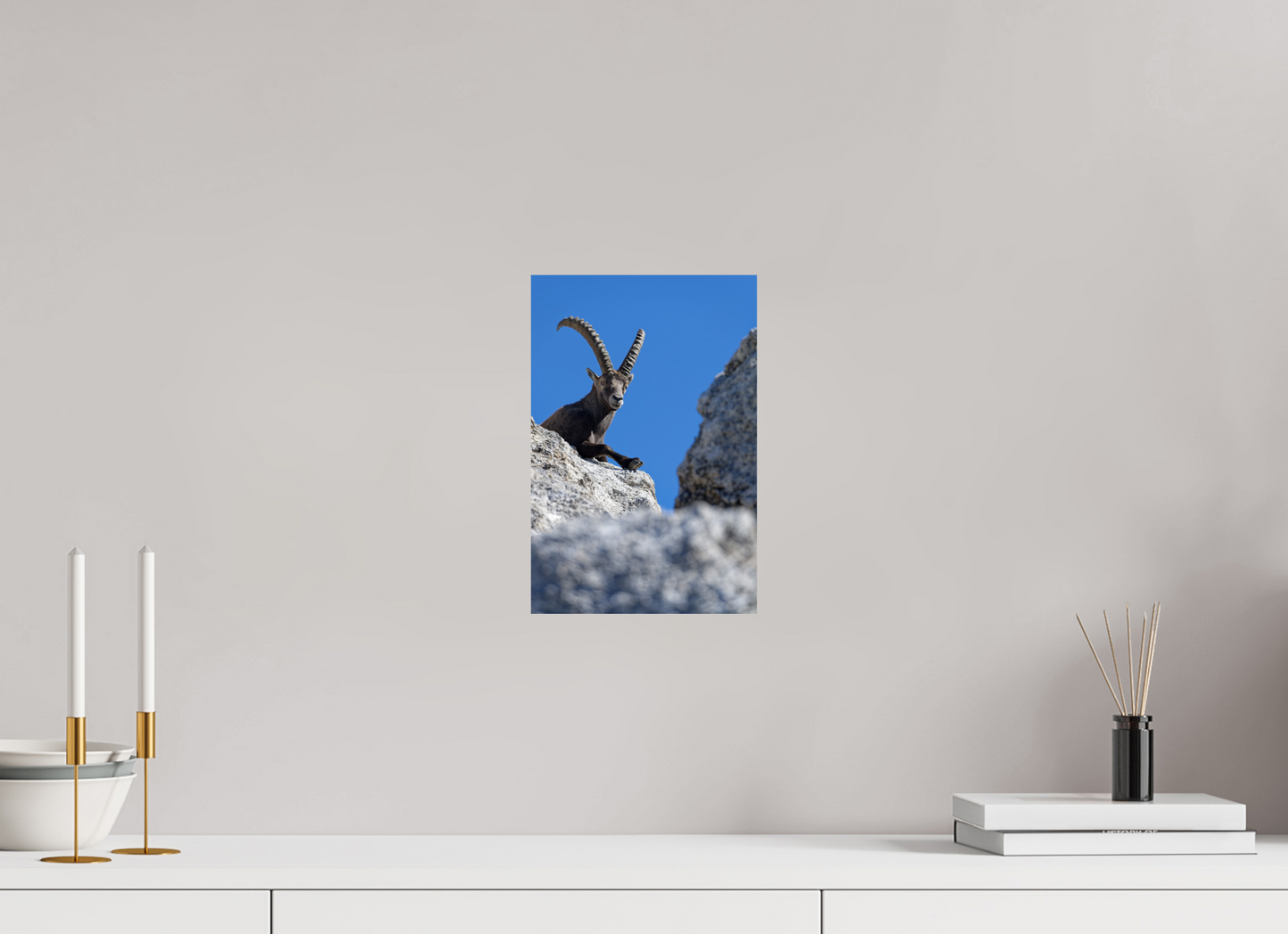 Bouquetin / Ibex
