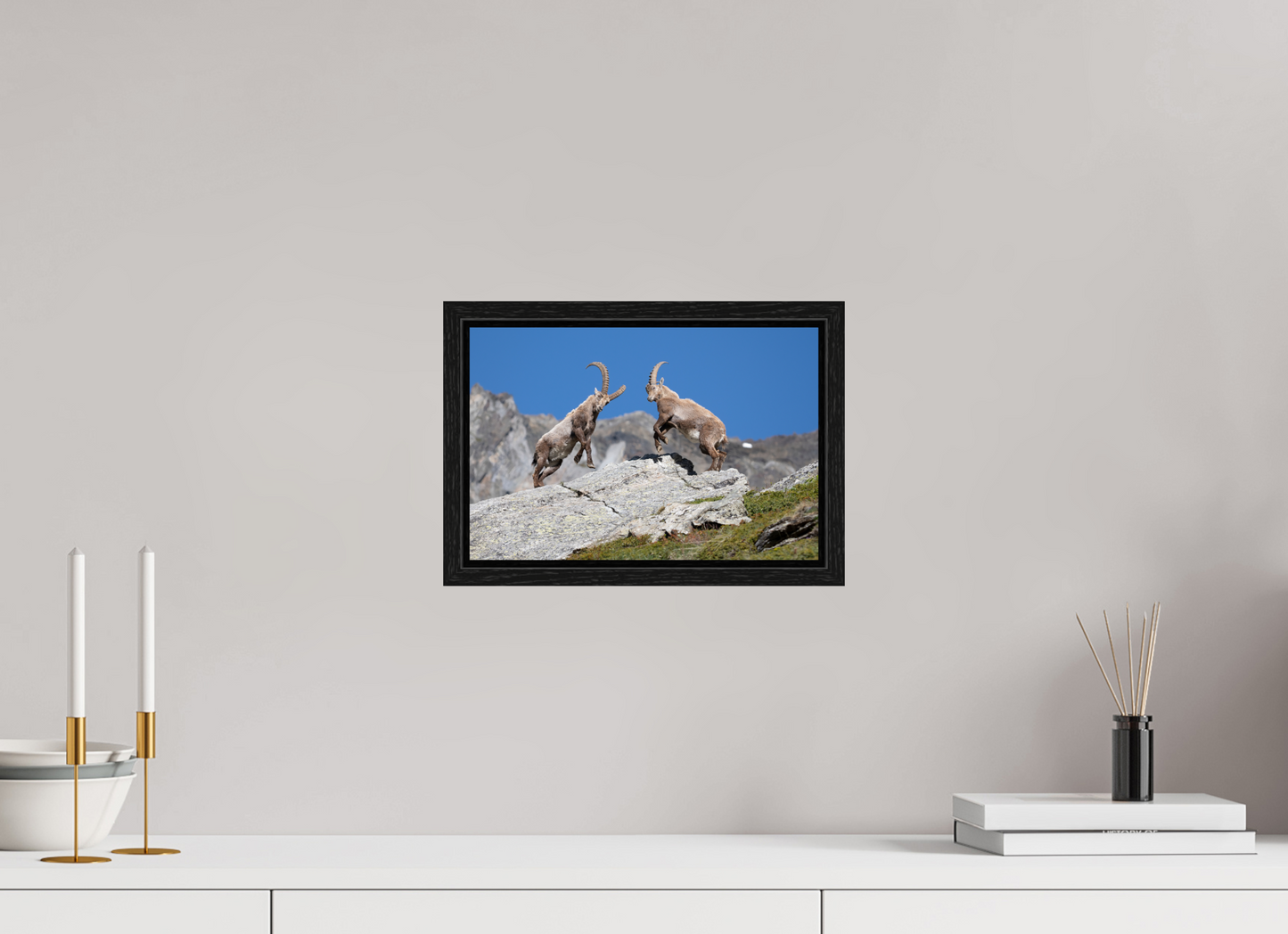 30 x 20 cm, Floater Frame Bouquetin / Ibex