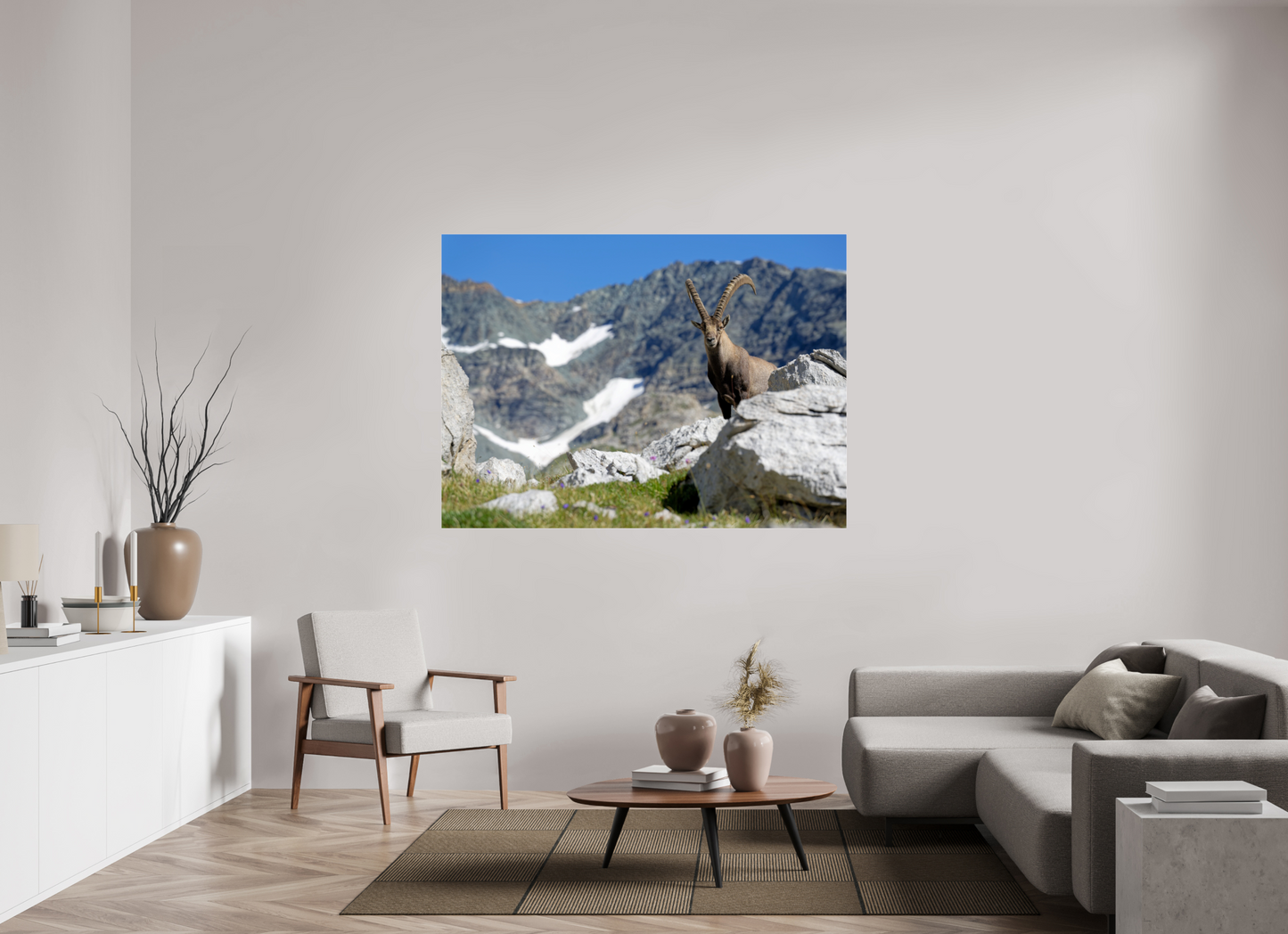 Bouquetin / Ibex