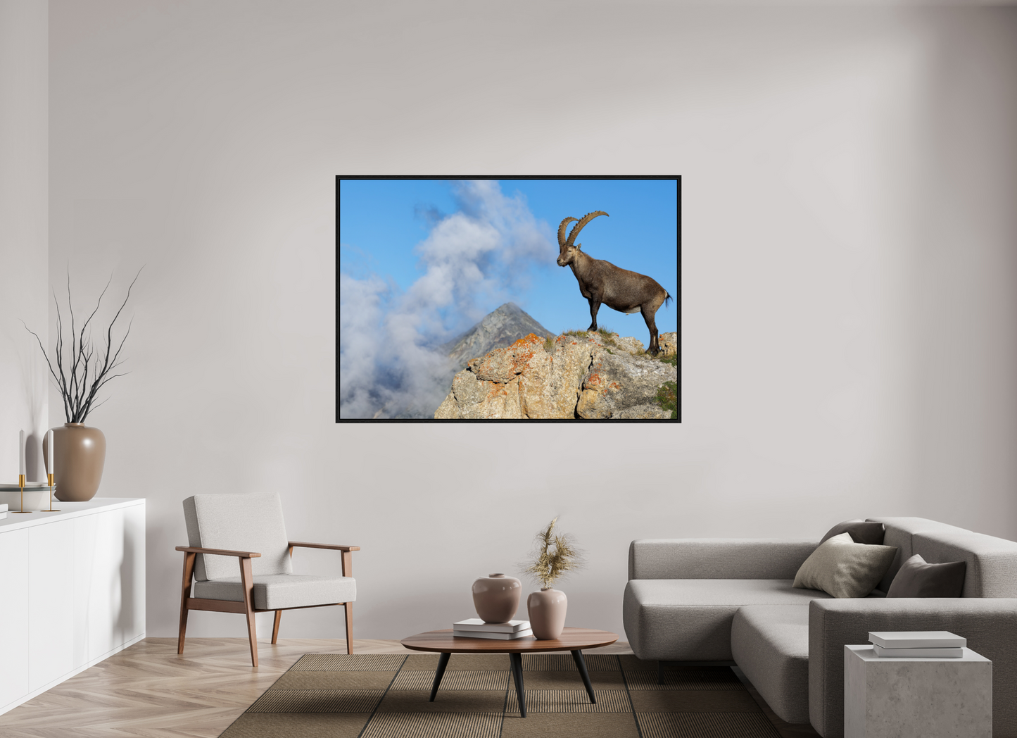 Bouquetin / Ibex