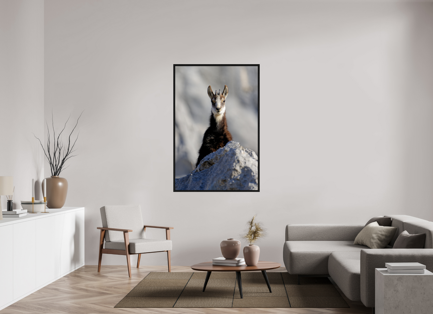 Chamois