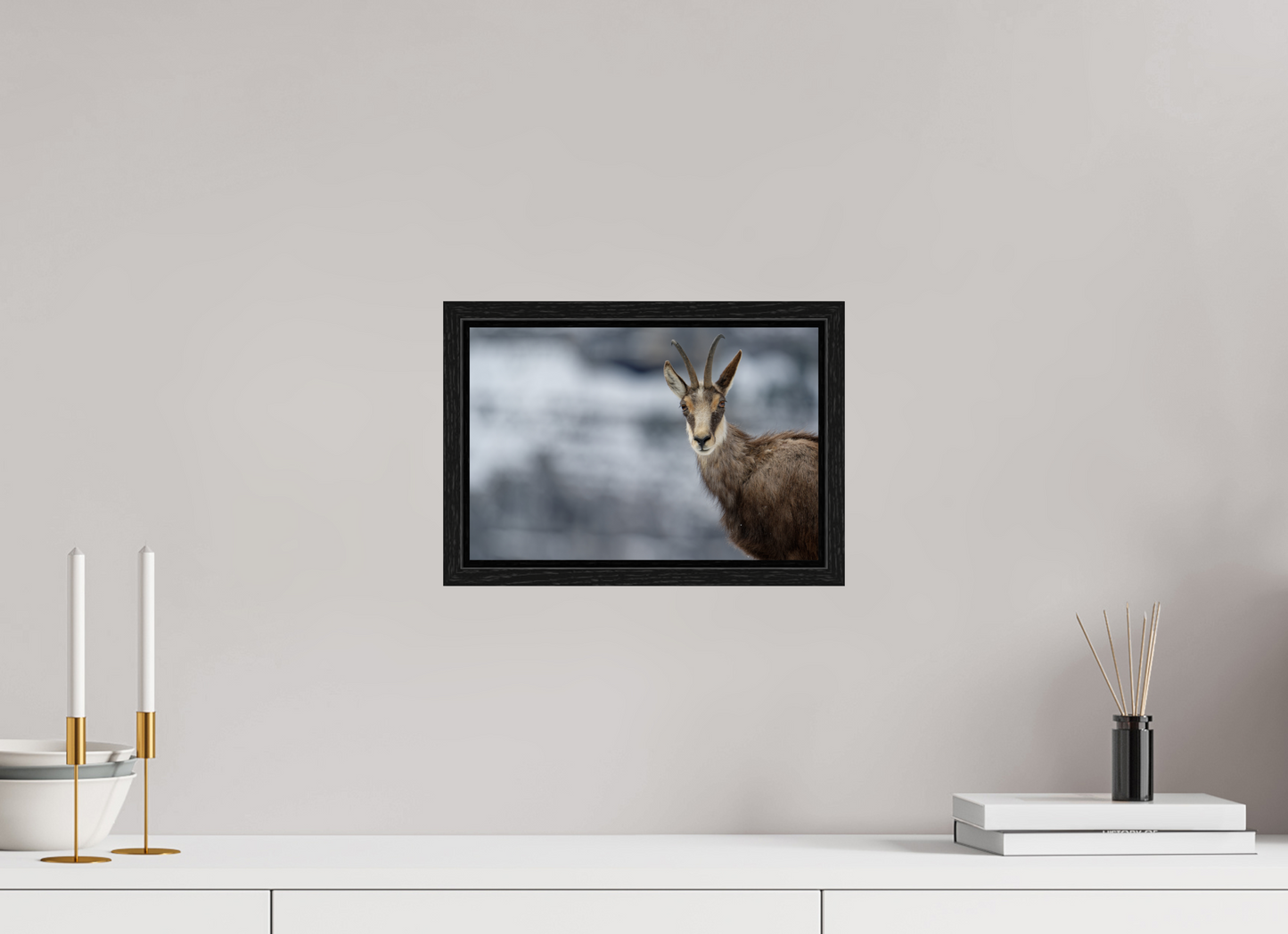 Chamois