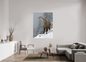Bouquetin / Ibex