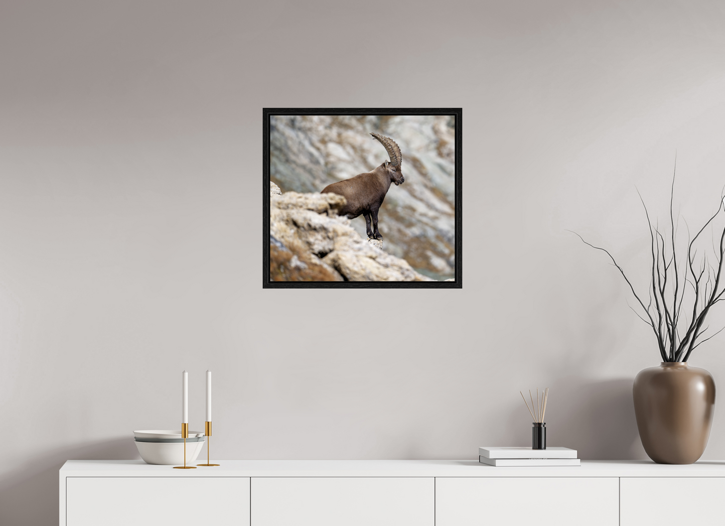 Bouquetin / Ibex