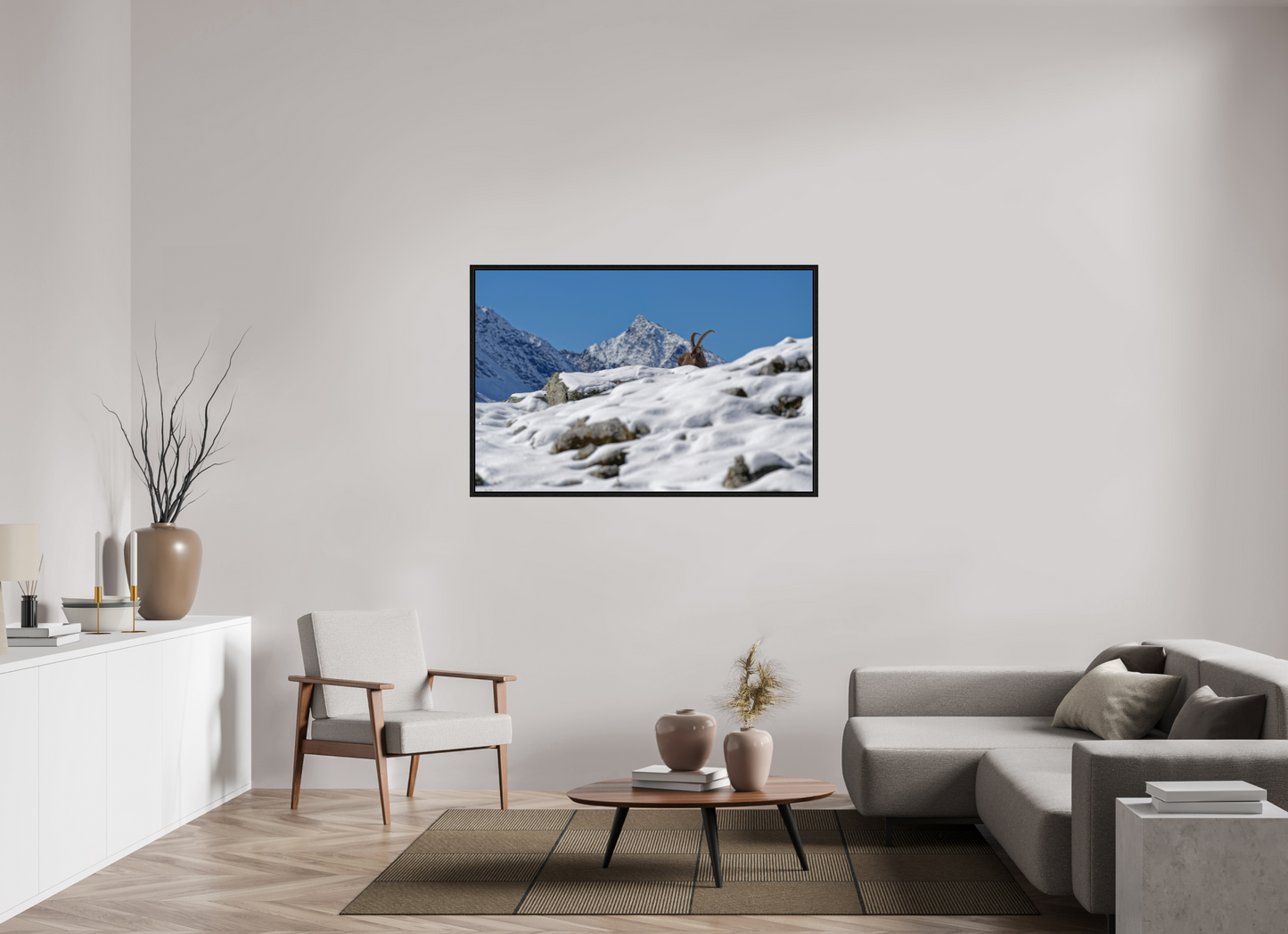 Bouquetin / Ibex