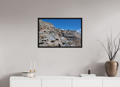 Bouquetin / Ibex
