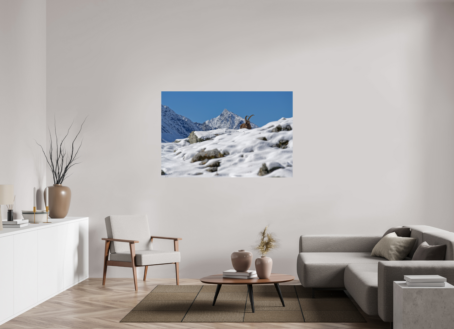 Bouquetin / Ibex
