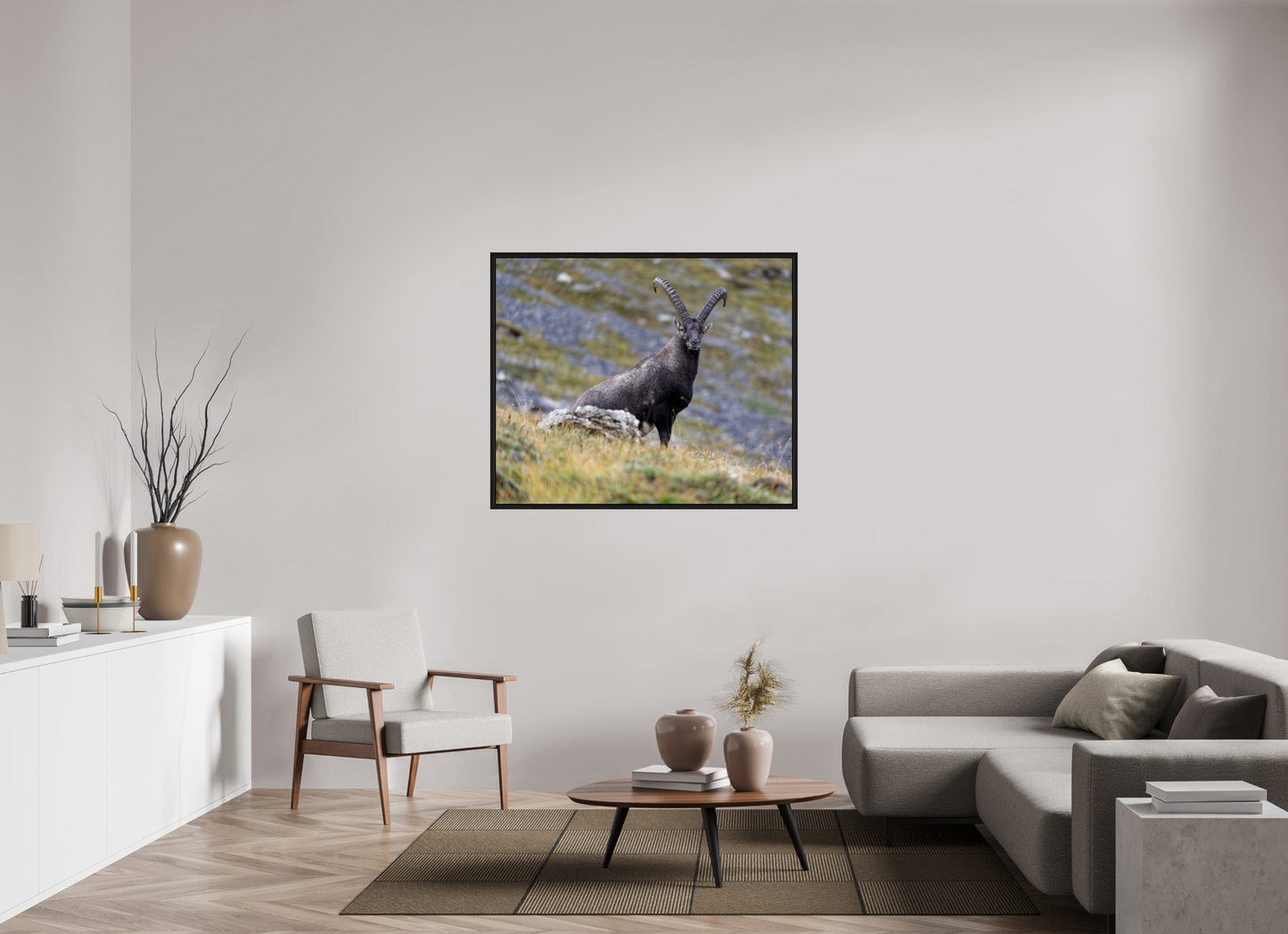 Bouquetin / Ibex
