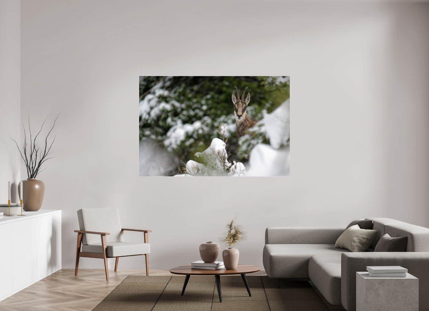 Chamois