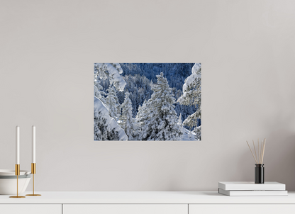 Hiver / Winter