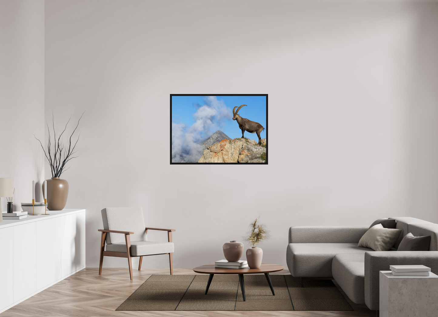 Bouquetin / Ibex