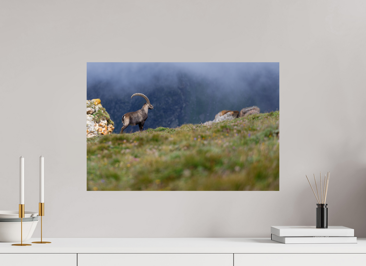 Bouquetin / Ibex
