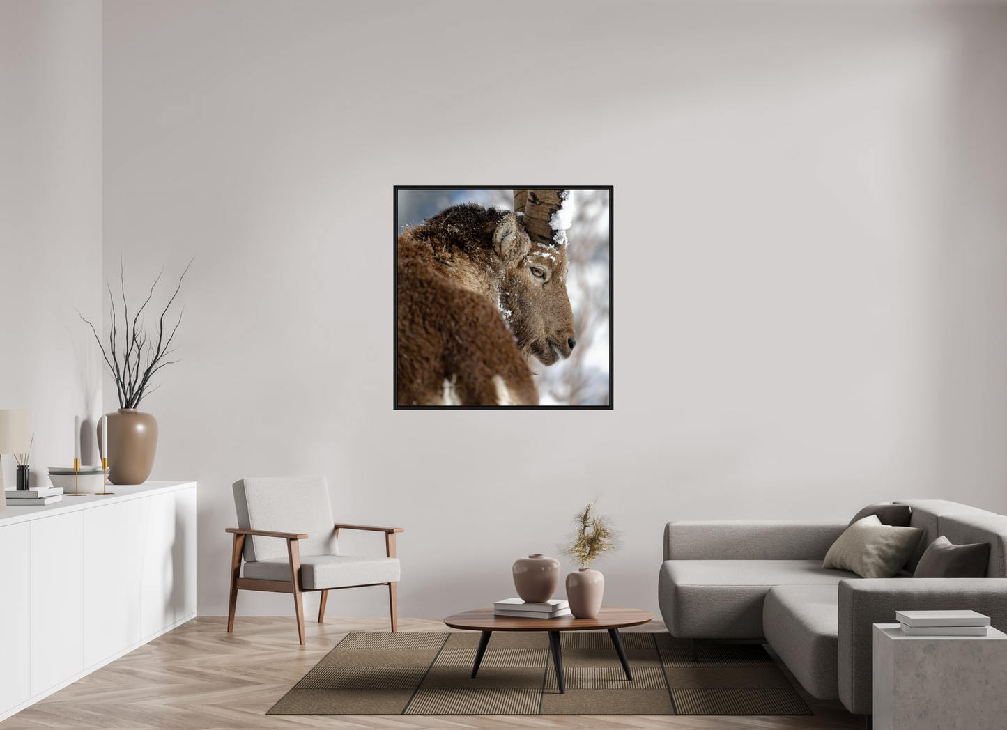 Bouquetin / Ibex