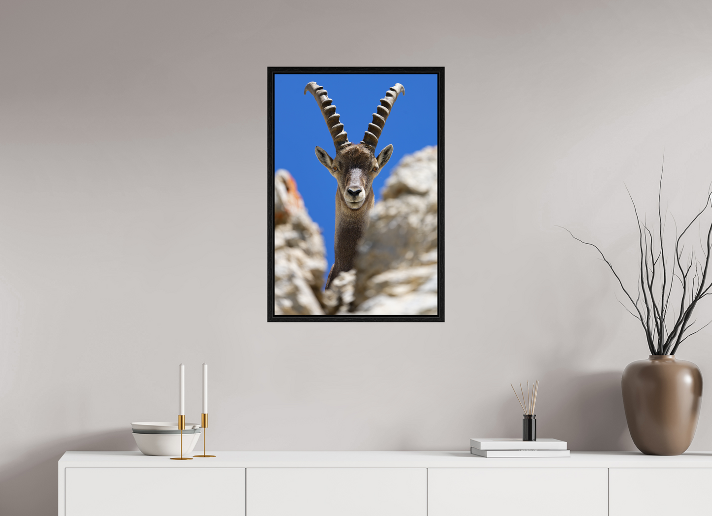 Bouquetin / Ibex