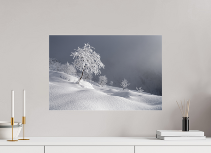 Hiver / Winter