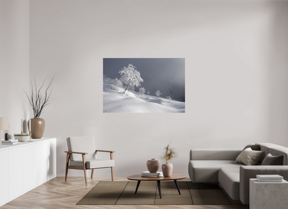 Hiver / Winter