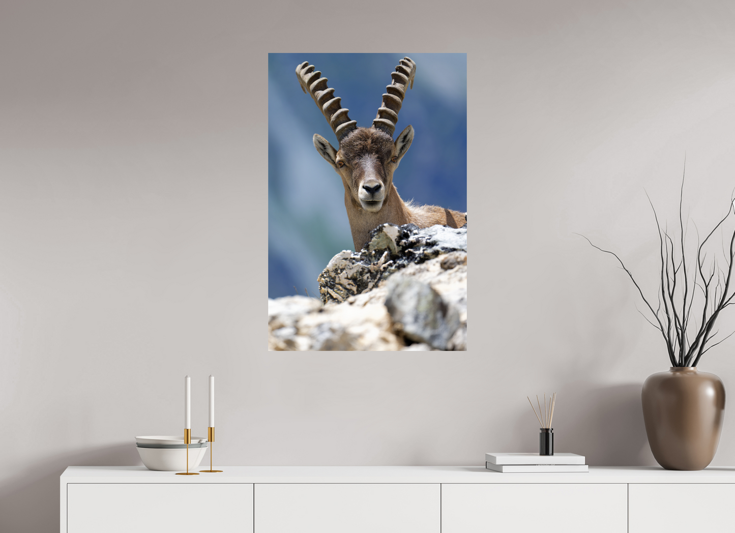 Bouquetin / Ibex