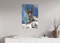 Bouquetin / Ibex