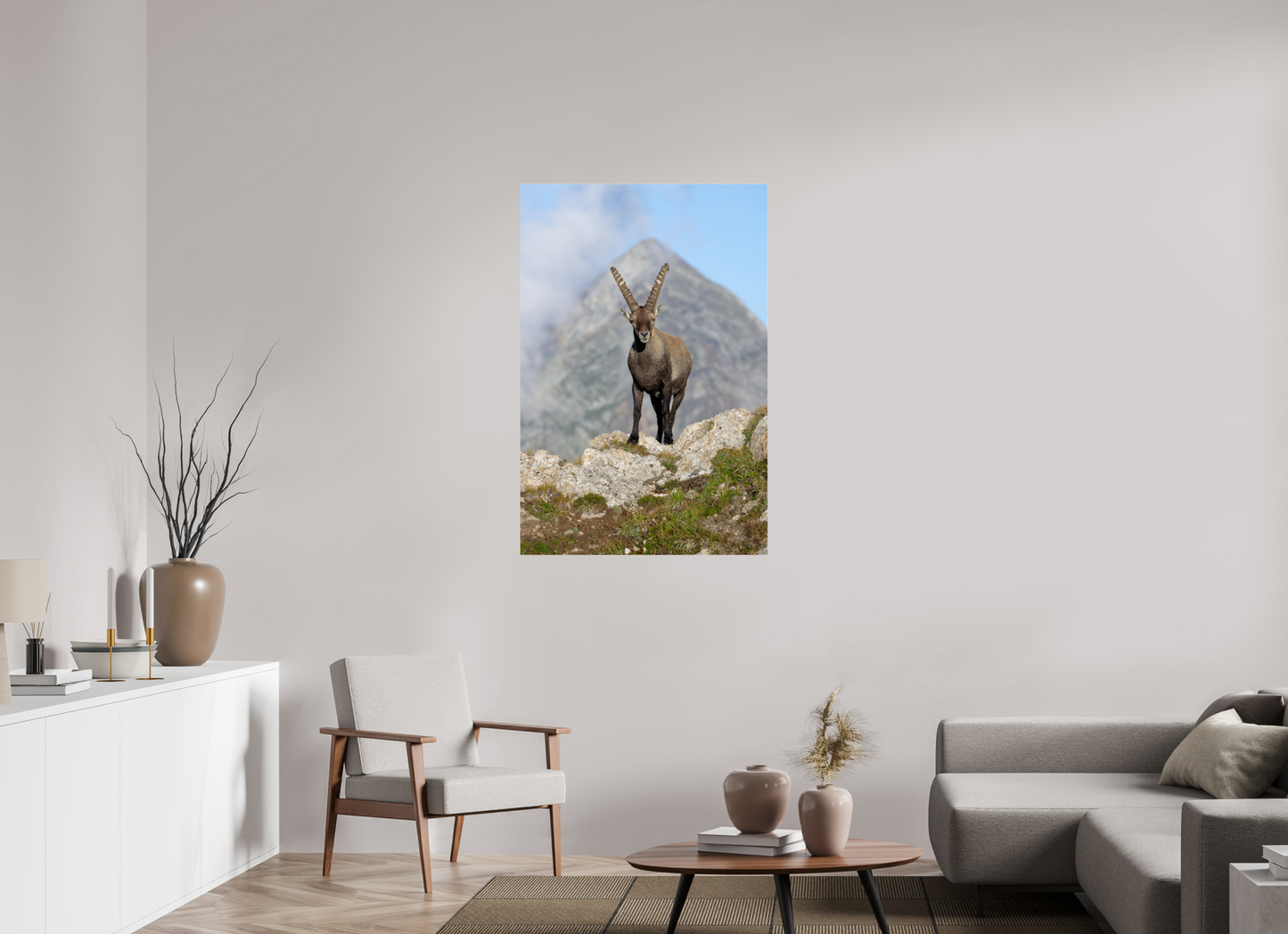 Bouquetin / Ibex