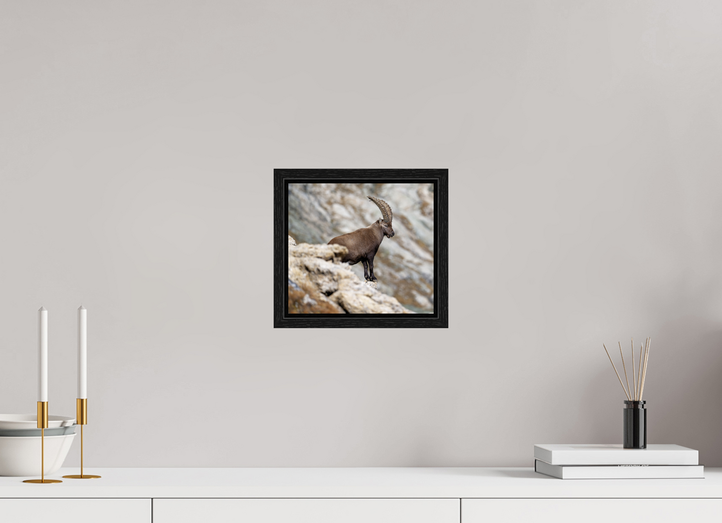 Bouquetin / Ibex