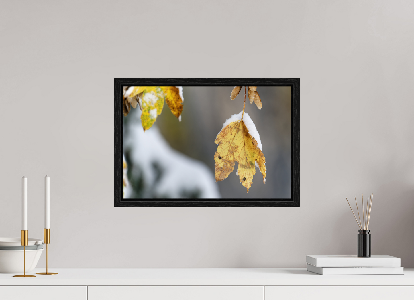 Automne / Autumn