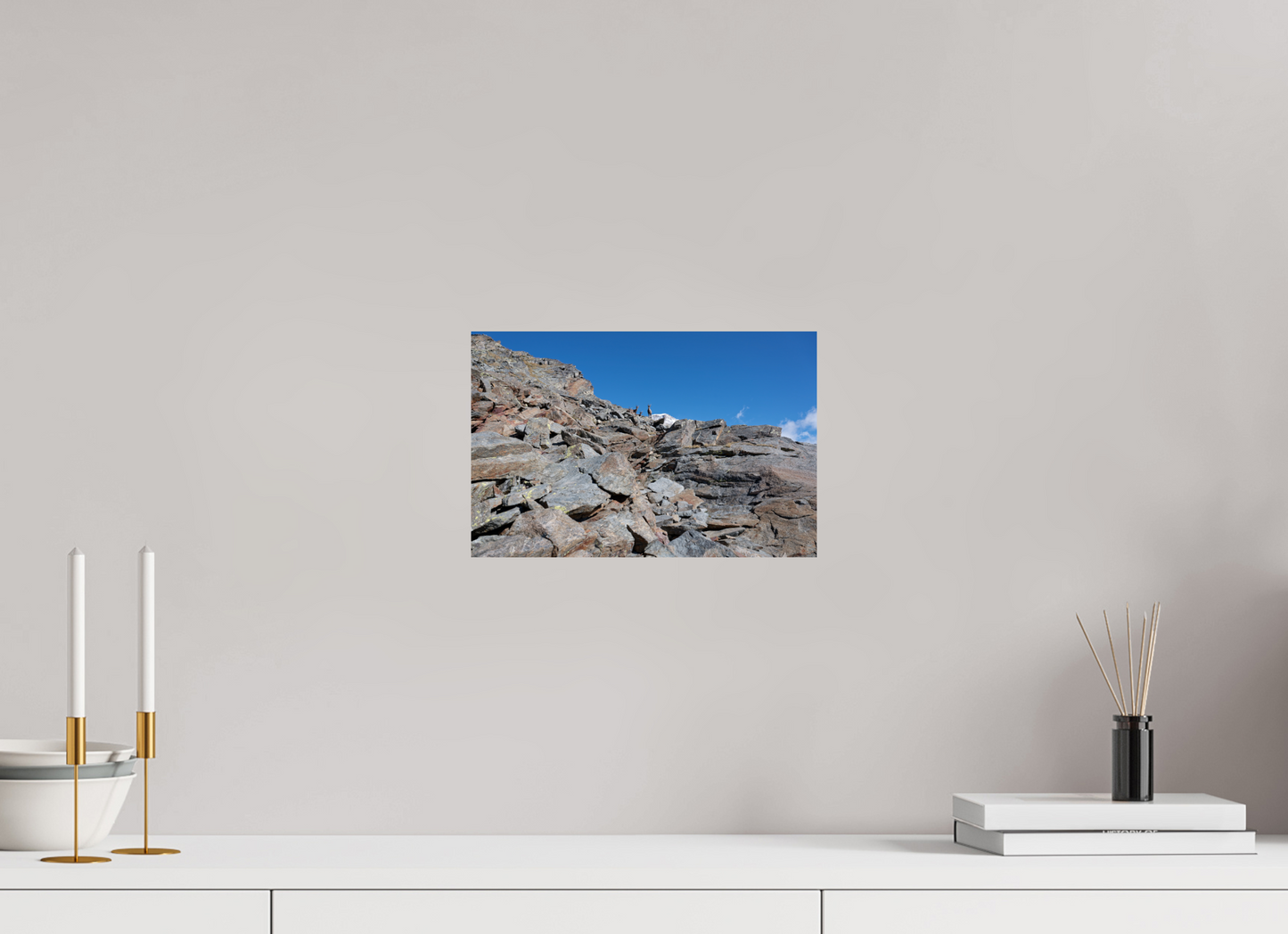 Bouquetin / Ibex