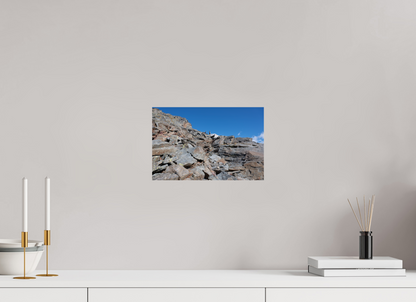 Bouquetin / Ibex