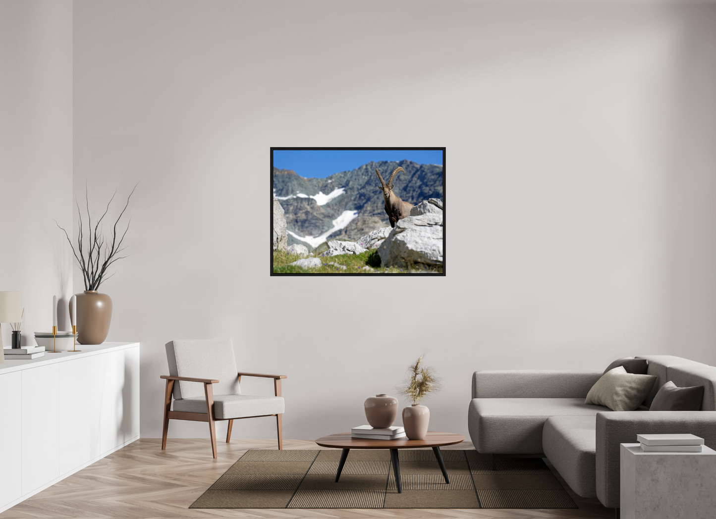 Bouquetin / Ibex