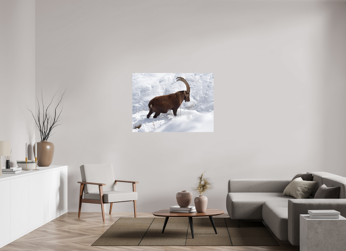 Bouquetin / Ibex