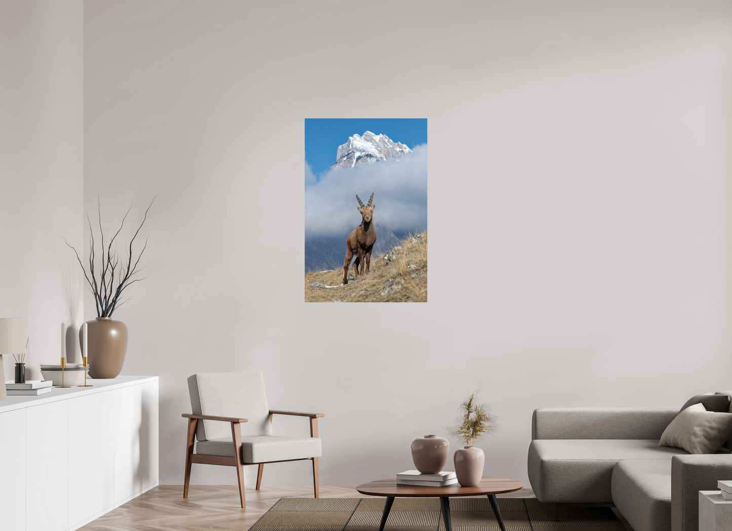 Bouquetin / Ibex