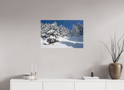Hiver / Winter