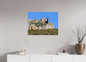 Bouquetin / Ibex