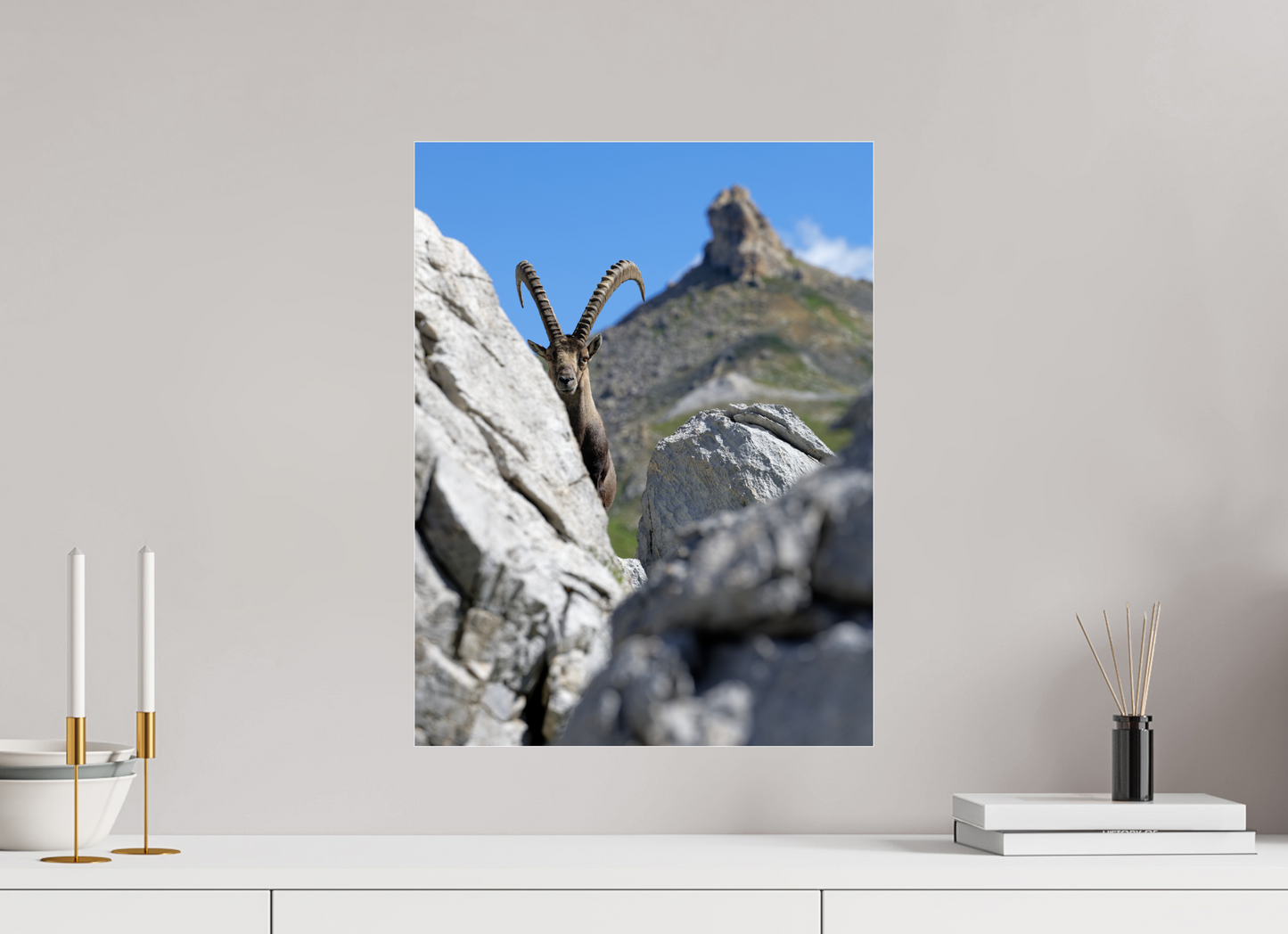 Bouquetin / Ibex