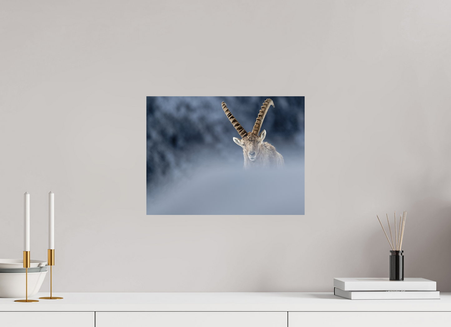 Bouquetin / Ibex
