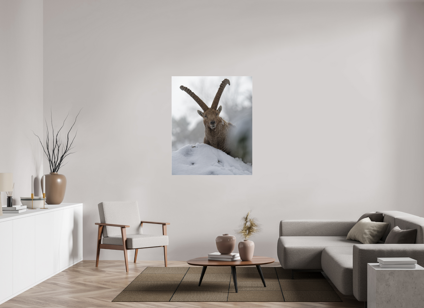 Bouquetin / Ibex