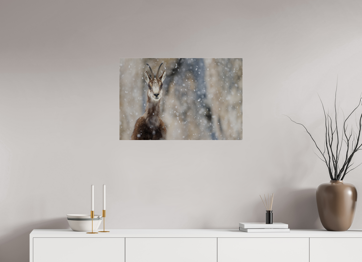 Chamois