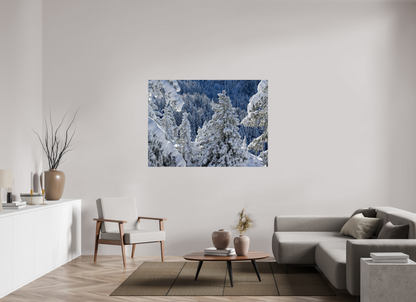 Hiver / Winter