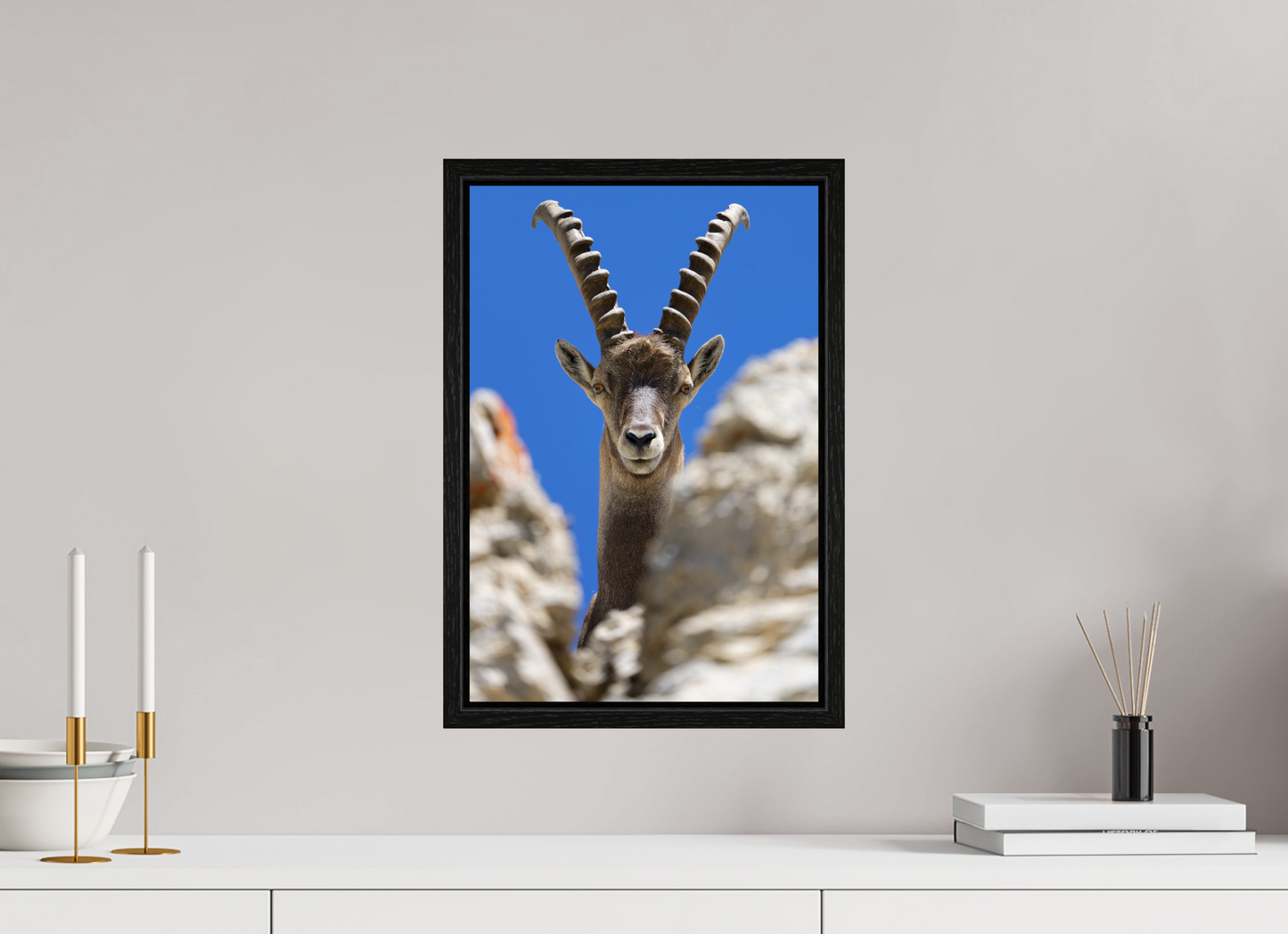 Bouquetin / Ibex