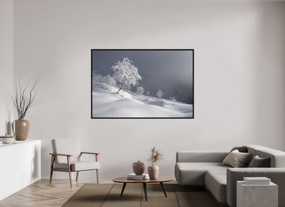 Hiver / Winter