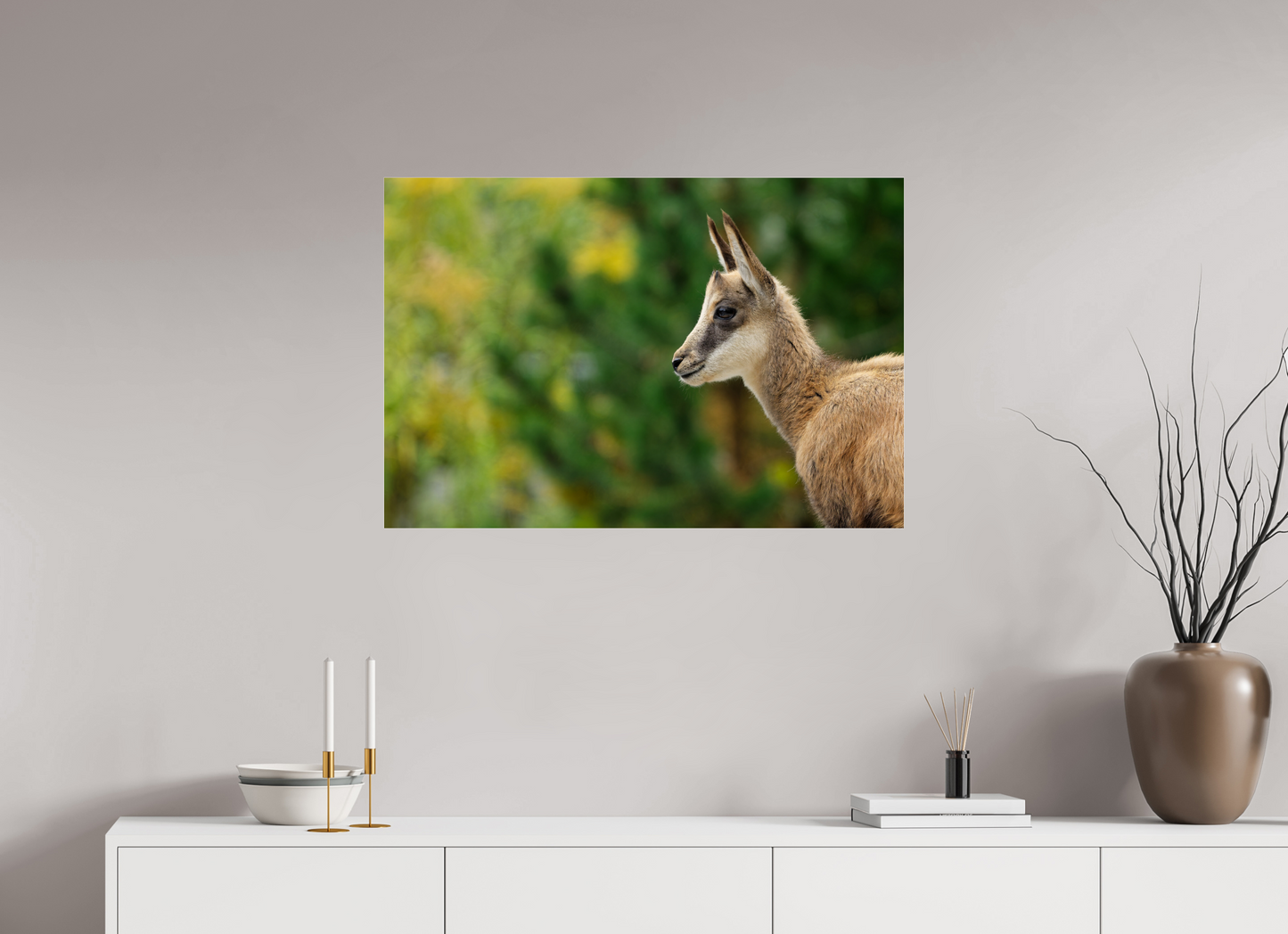 Chamois