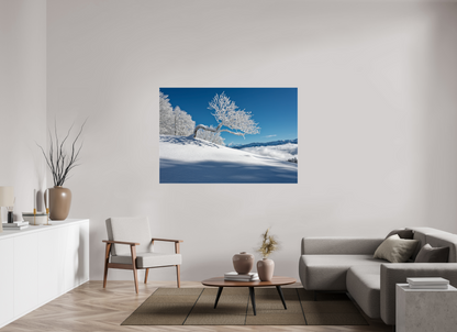 Hiver / Winter