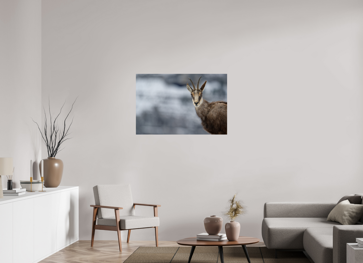 Chamois
