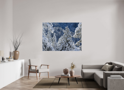Hiver / Winter
