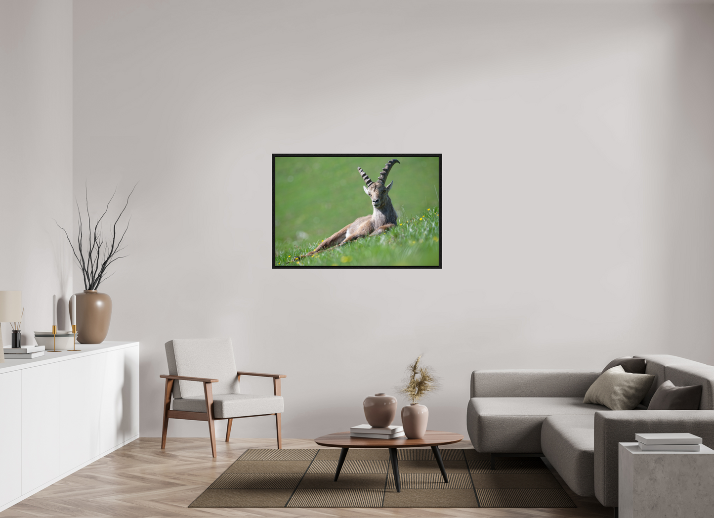 Bouquetin / Ibex