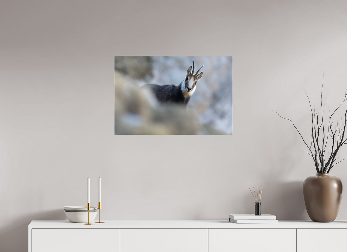 Chamois
