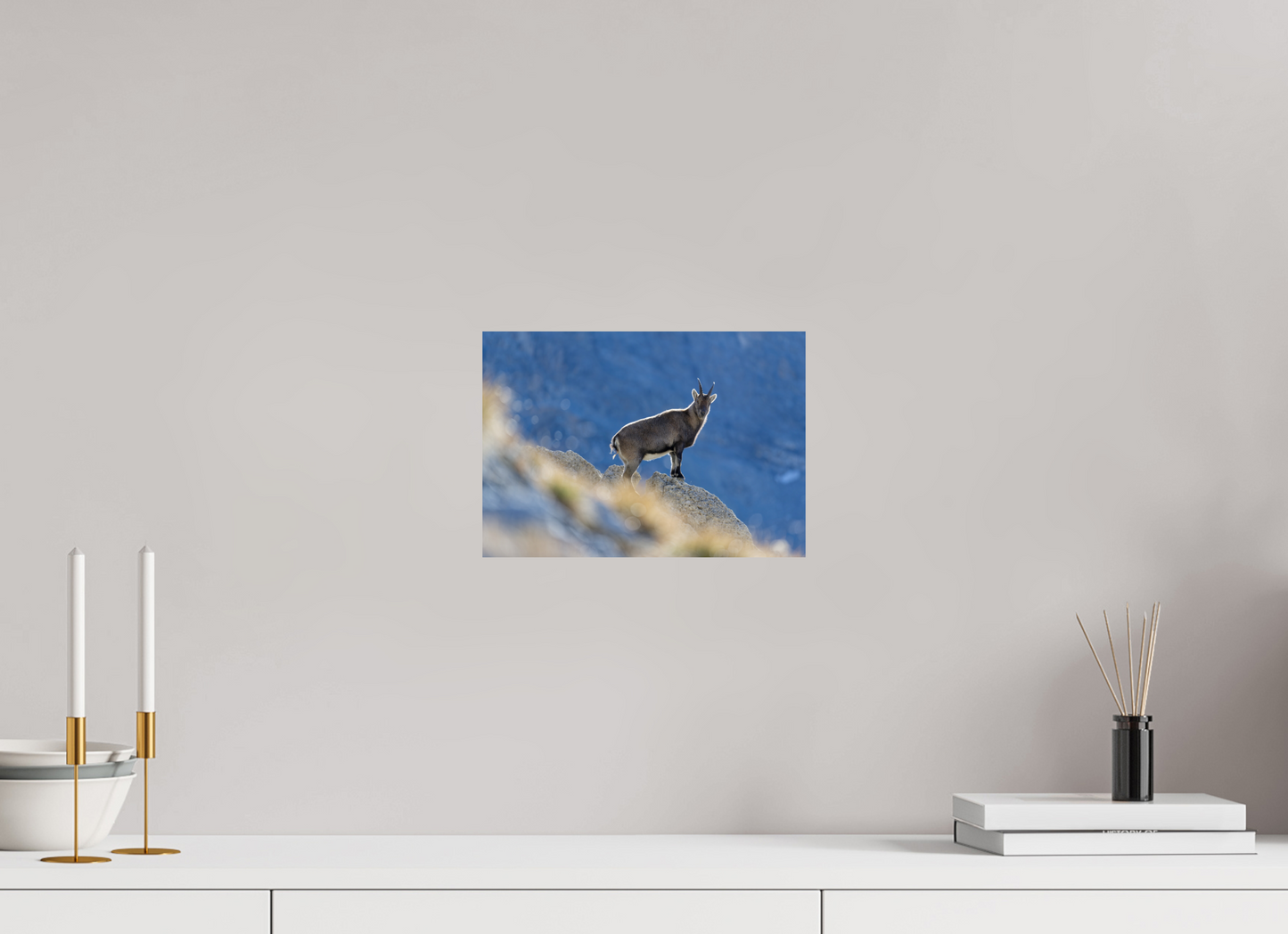 Bouquetin / Ibex